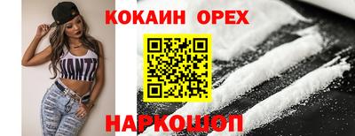 гашик Кунгур