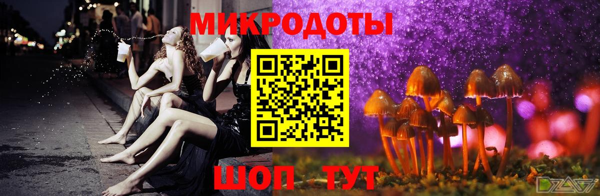 Галлюциногенные грибы ЛСД Киселёвск
