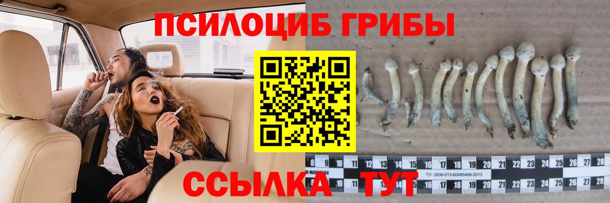 Галлюциногенные грибы ЛСД  хочу   Киселёвск  Вход с VPN 